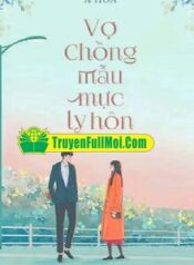 1565-doi-vo-chong-mau-muc-nay-da-ly-hon_cover_large