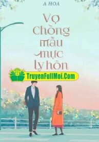 1565-doi-vo-chong-mau-muc-nay-da-ly-hon_cover_large