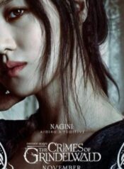 edit-dn-harry-potter-mot-kiep-doi-cho-hoan-164082012