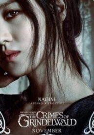 edit-dn-harry-potter-mot-kiep-doi-cho-hoan-164082012